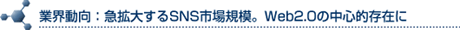 業界動向：急拡大するSNS市場規模。Web2.0の中心的存在に