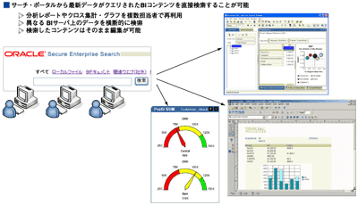 Enterprise Materialized Information Oracle Edition