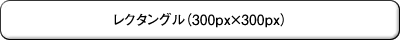 レクタングル（300px×300px）