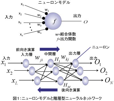 図1：ニューロンモデルと階層型ニューラルネットワーク
