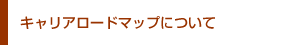 キャリアロードマップについて