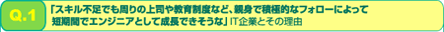 Q1：「スキル不足でも周りの上司や教育制度など、親身で積極的なフォローによって短期間でエンジニアとして成長できそうな」IT企業とその理由