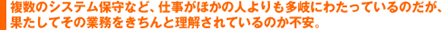 複数のシステム保守など、仕事がほかの人よりも多岐にわたっているのだが、果たしてその業務をきちんと理解されているのか不安。