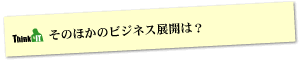 Question3 そのほかのビジネス展開は？