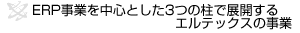 ERP事業を中心とした3つの柱で展開するエルテックスの事業