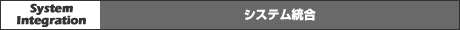 システム統合