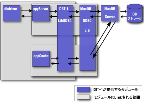 DBT-1のプロセス構成