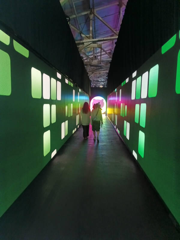 通路の壁はGitHubユーザーにはお馴染みのコントリビューショングラフ