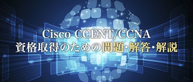 IPv4アドレスのスケーラビリティ（規模拡張性）［CIDR/プライベートIP