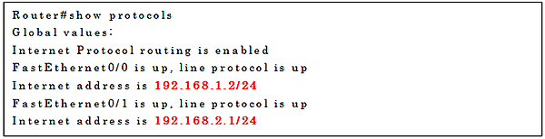 show protocolsコマンドの実行例