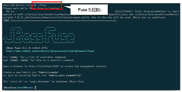 JBoss Fuseの起動画面