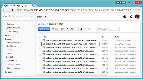 daysale150419の内容表示