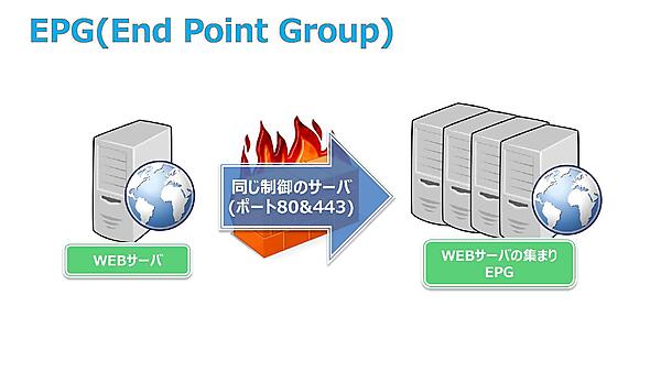 EPG（End Point Group）