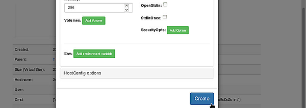 DockerUIでパラメータ入力後、コンテナを生成