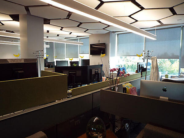 モダンなのに暖かみのあるオフィス。個人の名前はバナナのカードに