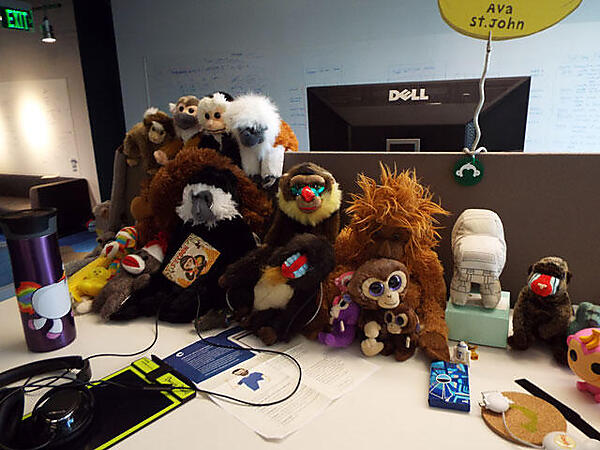 いたるところにサルのぬいぐるみが