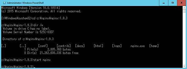 nginxサービスの起動