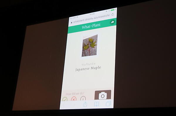 木の葉から種類を当てるアプリ