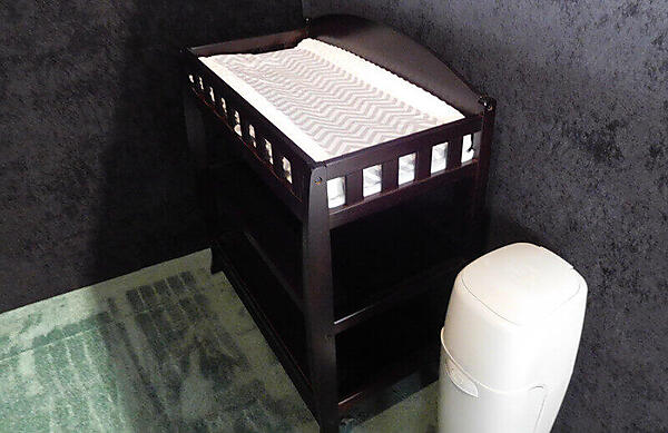 オムツを捨てるゴミ箱があるのも良く分かっている証拠