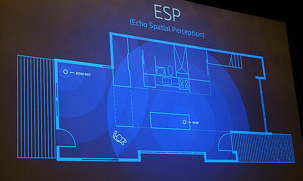 反響を利用した空間認識を行っているという