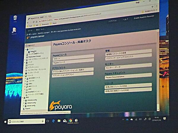 日本語化されたPayara Server 5 Betaのコンソール