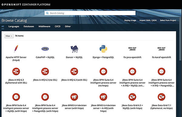 図18. CDKログイン後の画面