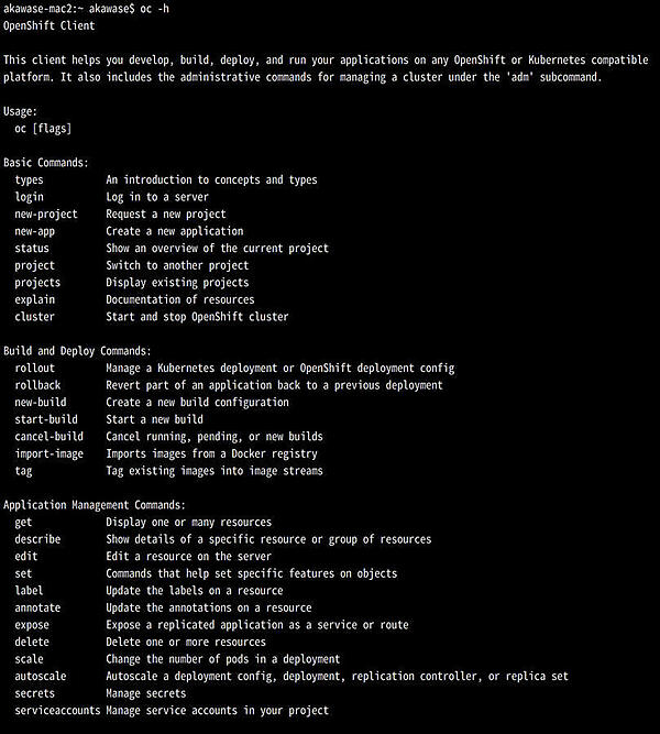 図20. ocコマンドの一例（oc -help）