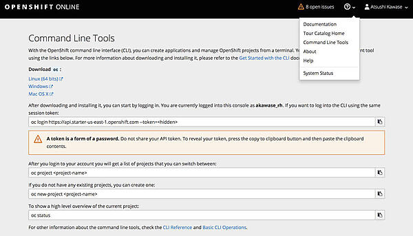 図21. Command Line Tools
