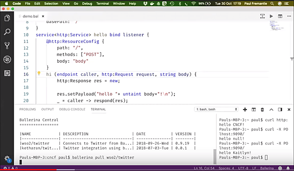 Twitter連携のためのパッケージを利用