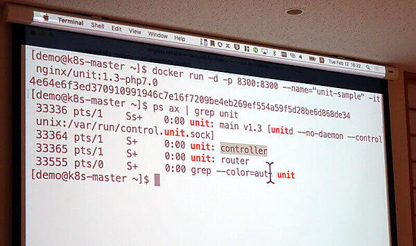 ターミナルで実行されたUnitのライブデモ