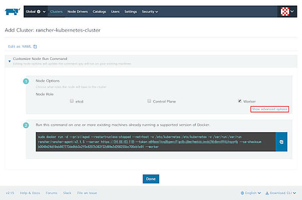 図3：「Show advanced options」をクリック