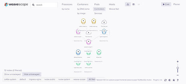 図22：デプロイされたWeave Scopeが表示された！