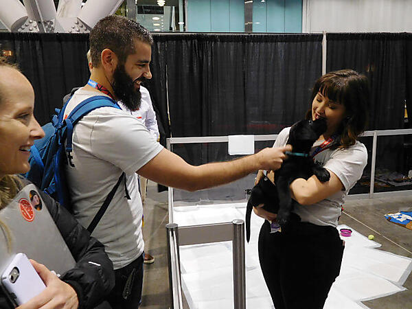 仔犬に触れて和む参加者たち