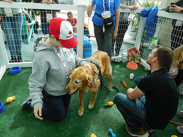楽しそうな参加者