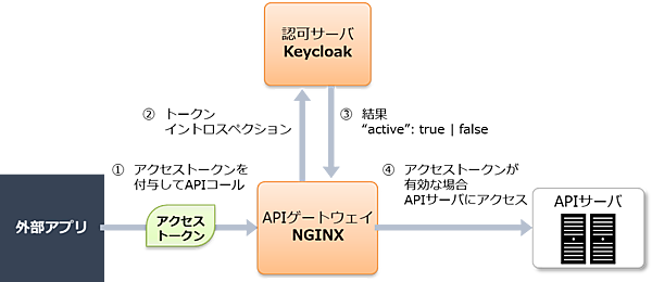 図12：トークンイントロスペクション