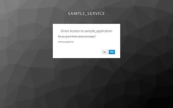 図22：同意画面