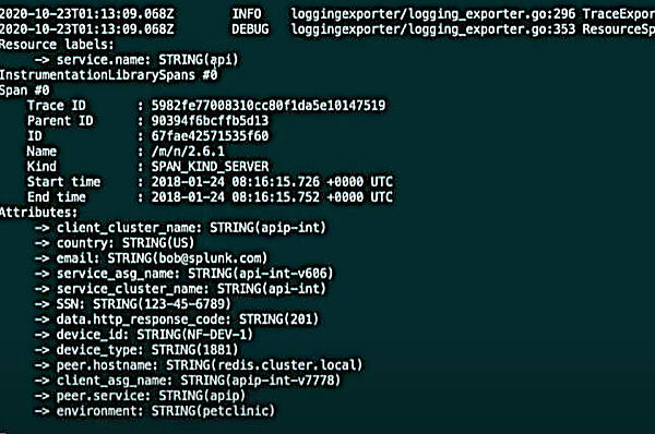 デモの画面。ルール実行前はSSNとメールアドレスが確認できる