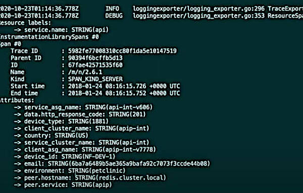 ルール適用後。SSNがなくなりメールアドレスがハッシュ化されている