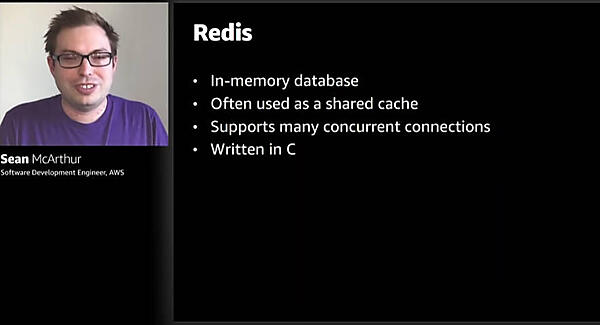 mini-redisを解説するMcArthur氏