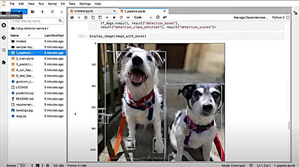 検知された犬を矩形で囲っている