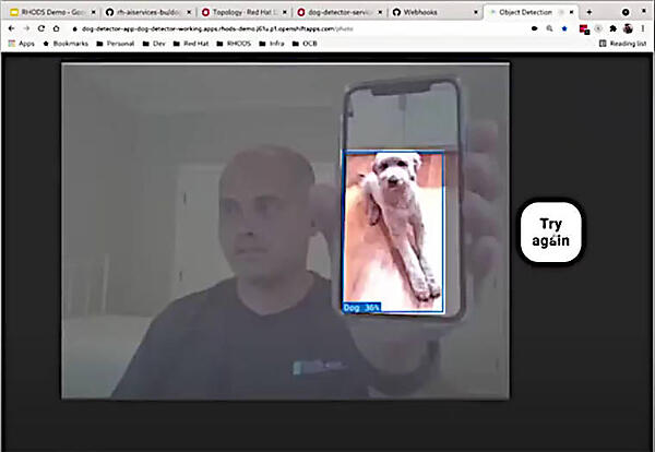 スマホに表示された犬のデータを認識している