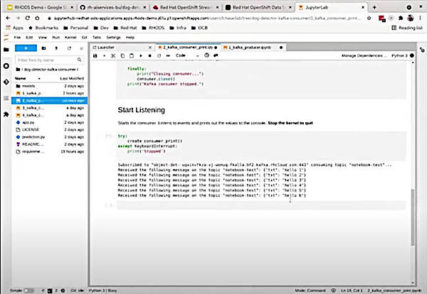 Kafkaのストリーミングが動いていることをJupyter Notebookで確認