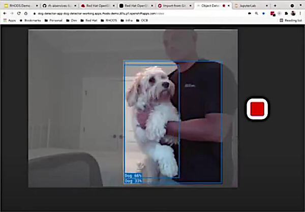 自宅の愛犬を認識させているChase氏
