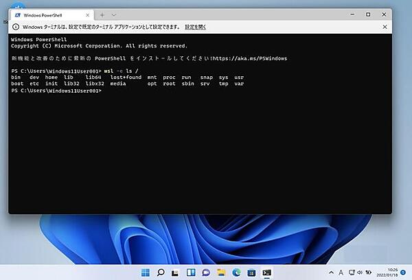 WSL2環境の情報が表示される