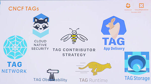 TAGがカバーする領域。App DeliveryやStorageに混ざってContributor-Strategyがある