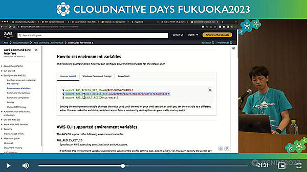 AWS公式ドキュメントに記されている環境変数の解説