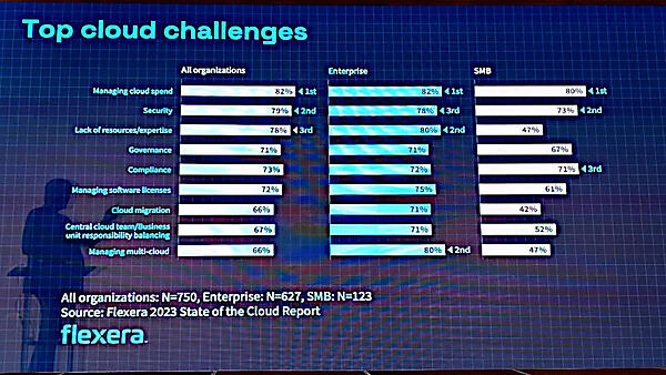 Flexeraのリサーチより、企業のサイズに関わらずコストが問題点と指摘