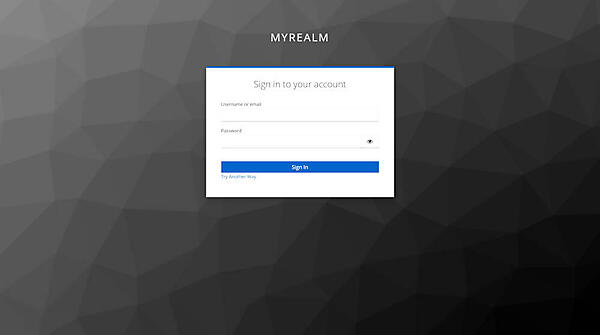 図6：サインイン画面