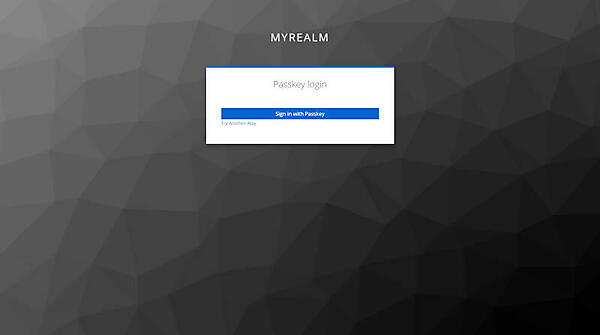 図15：パスキーによるサインイン画面