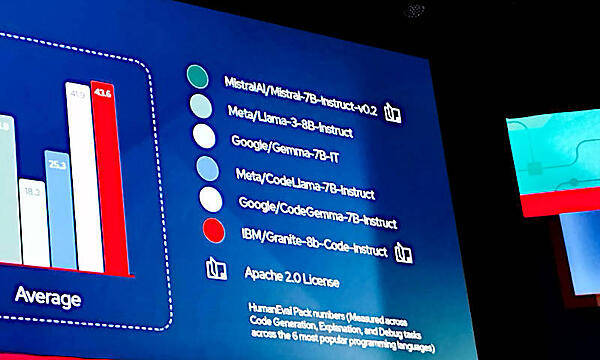 ベンチマークで比較された各社のモデル。オープンソースはGraniteとMistral AIの2つだけ